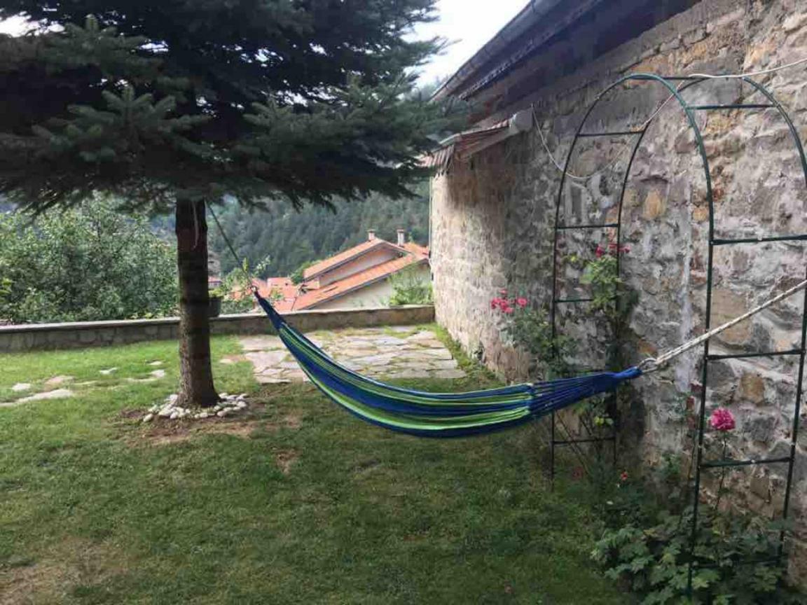 Ambrozia Spa And Relax Family House Bachkovo Eksteriør billede